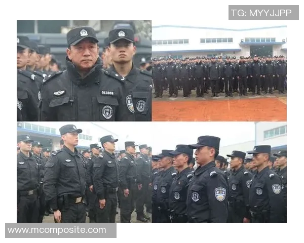 西安飞盘队运营模式解析与发展前景探讨