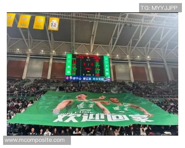 上海上港对阵辽宁的精彩直播全程回顾与赛后分析