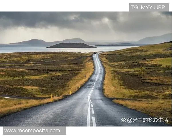 麦卡利斯特的传奇人生与不屈精神探索之旅
