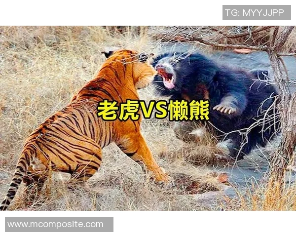 老虎竞技与兵工厂激战正酣谁将赢得这场精彩对决的胜利